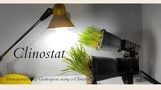 Clinostat