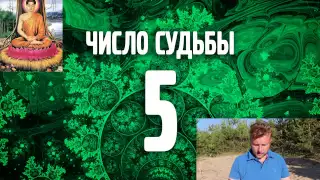 Число судьбы - 5. Число Кармы 5. Ведическая Нумерология