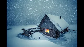 Вьюга за окном для сна, метель, снежный буран, вой волков!