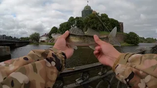 Рыбалка в Выборге. Спиннинг, джиг, судак. Street fishing Viipuri. #fishing #nature #travel