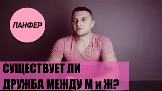 Существует ли дружба между мужчиной и женщиной. Александр Панфер.