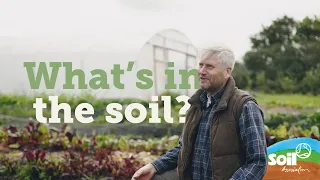 What's in the soil? | Soil Association