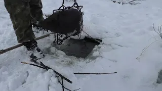 Ставлю и проверяю капканы на бобра зимой под лед.  beaver hunting.