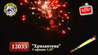 Хризантема 12035