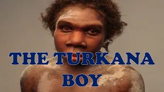 Turkana Boy | Explained