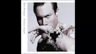 Rob Dougan - I'm Not Driving Anymore (Instrumental) - Furious Angels Album