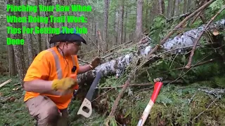 Tipps On Using A Twenty Four Inch Crosscut Saw And Axe To Cut A Tree Off A Wilderness Hiking Trail