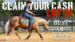 Lot 31 - CLAIM YOUR CASH offered by The Iris Performance Horses @ Best of Texas Premier Horse Sale