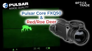 Pulsar Core FXQ50 Thermal Attachment & Red Deer/Roe Deer | Optics Trade See Through