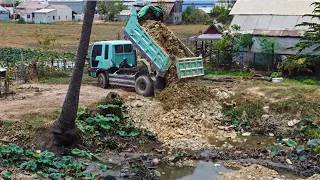 Starting Open New Project !! Dump Truck unloading stone into pond