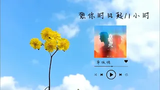 想你时风起 单依纯 1小时