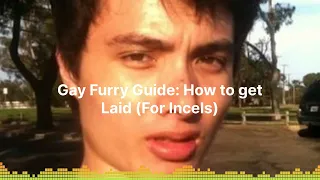 State of the Fandom - Gay Furry Guide: How to get Laid (For Incels)