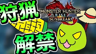 実は裏で結構やってましたのでプロです【モンスターハンターライズ：サンブレイク】