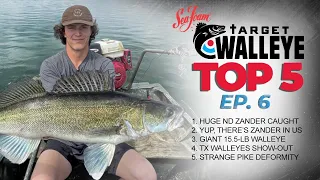 Target Walleye's Top 5 of the Week! 🔥 (Ep 6)