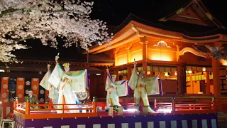 浦安の舞　浅間大社 桜花祭2019