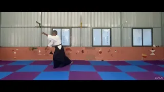 Yang style Taichi 85 form