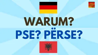 Fjale dhe Shprehje Shume te Rendesishme Gjermanisht-Shqip - A1 A2