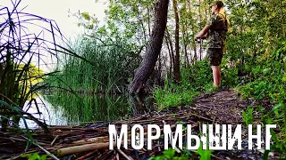 МОРМЫШИНГ КАРАСЬ НА СПИННИНГ В ИЮЛЕ