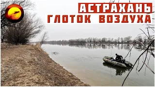 АСТРАХАНЬ! ГЛОТОК ВОЗДУХА / РЫБАЛКА, ОТДЫХ И ОТКРЫТИЕ СЕЗОНА