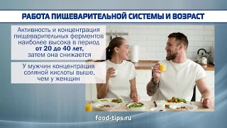 Сколько времени переваривается пища?