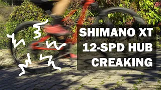 How to solve Shimano XT 12-speed Micro Spline hub creaking noise (M8110)