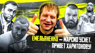 Емельяненко: Марсио уснет. Привет Харитонову!