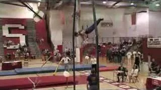2008 IHSA Boys' Gymnastics State Finals - Still Rings