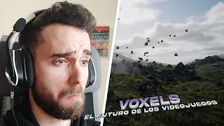 REACCION a VOXELS 🖥️ || ¿El futuro de los videojuegos?