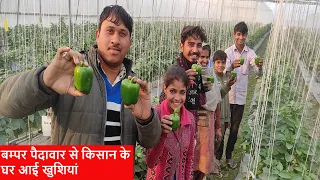 बम्पर कमाई देने वाली शिमला मिर्च की खेती कसे करें|AtoZshimla Mirch ki kheti|Capsicum Nethous Farming