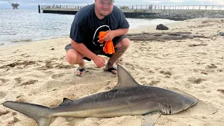 🔴 Let’s do it again today!!!! ( LIVE Pier Fishing - Fort Morgan, AL )