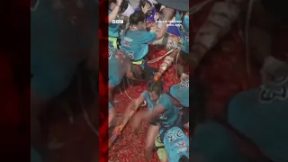 The annual La Tomatina festival has been going since 1945. #LaTomatina #Shorts #BBCNews
