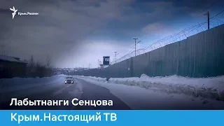 200 морозных дней в году. Лабытнанги Сенцова | Крым.Настоящий