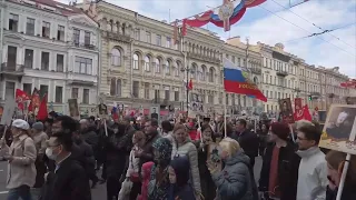 'Immortal Regiment' on Victory Day, Massive Event on Nevsky Prospect, St. Petersburg