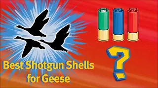 BEST SHOTGUN SHELL for GOOSE HUNTING