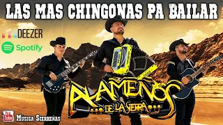 LOS ALAMEÑOS DE LA SIERRA🔥Huapangos Pa Bailar 🔥Popurri De Huapangos🔥Cumbias para Bailar