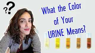 What does the COLOR of your URINE mean?! |  A Urologist Explains