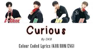 Curious by DKB | Colour Coded Lyrics (KOR/ROM/ENG)