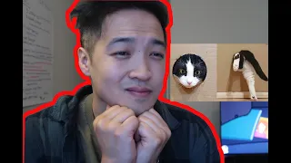 Reducing Hole for the Cat. When will he stop? Reaction