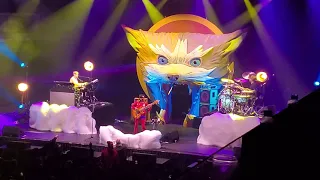 Thundercat shrine funny thing /show end