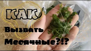 КАК ВЫЗВАТЬ МЕСЯЧНЫЕ?😱_ ❗ВЕРНЫЙ СПОСОБ❗+ ЭФЕКТ ЗА 4 ДНЯ_ саша