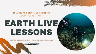 Earth LIVE Lesson with Evie Furness : Seagrass Success