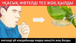 1ҚАСЫҚ ЖӨТЕЛДІ ТЕЗ ЖОҚ ҚЫЛДЫ. Жөтелді үй жағдайында емдеу