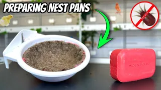 How To Prepare NEST PANS - Canaries & Finches