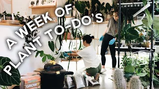 📣 3+ HOUR LONG 📣 week of plant to-do's #10