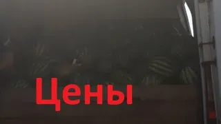 Цены на рынке в Копанях 12