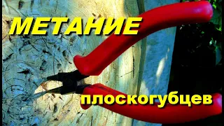 Метание плоскогубцев и подковы !