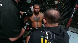 Glover Teixeira vs Thiago Santos