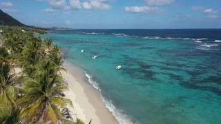 Guadeloupe : les trésors de l'archipel papillon • FRANCE 24