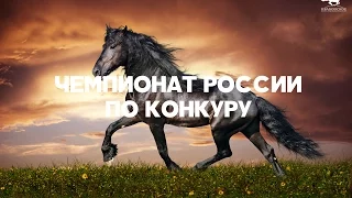 ЧЕМПИОНАТ РОССИИ по конкуру гр. "А", "В" И "С".Прямая трансляция.