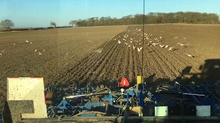 Cultivating in a frost